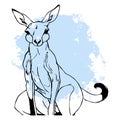 Black kangaroo on a white background. Animals line art. Logo design for use in graphics. Print for T-shirts, design for tattoos