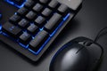 Black keyboard and wired mouse Royalty Free Stock Photo