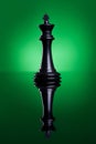 The black king of chess Royalty Free Stock Photo