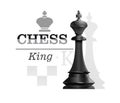 Black King. Chess concept design. Vector icon