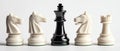 King chess piece surrounded by white knights and rook chess pieces Royalty Free Stock Photo
