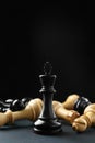 Black king among fallen chess pieces on dark background. Space for text