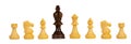 Black king between white chess pieces isolated Royalty Free Stock Photo