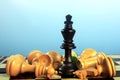 Black king wins Royalty Free Stock Photo