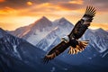 black kite eagle in flight Royalty Free Stock Photo