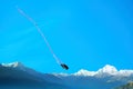 A black kite with long red tail flying or making a dive against bright blue sky Royalty Free Stock Photo