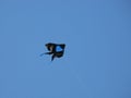 Black kite on a string soaring in a blue sky Royalty Free Stock Photo