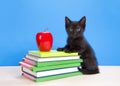 Black kitten back to school books with apple Royalty Free Stock Photo