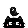 Black kitten cat face head silhouette and funny bird. Cute cartoon character. Kawaii baby pet animal. Notebook cover, tshirt,