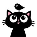 Black kitten cat face head silhouette looking up to funny bird. Cute cartoon character. Kawaii baby animal. Pet sticker collection Royalty Free Stock Photo