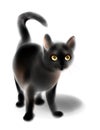 Black kitten. Cat for Halloween design. Imitation of watercolor Royalty Free Stock Photo