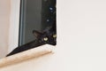 Black kitten cat sitting in front of the window Royalty Free Stock Photo