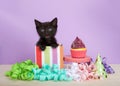 Black  kitten in colorful striped birthday present box with cup cake and streamers Royalty Free Stock Photo