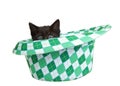 Black kitten peaking out of a Saint Patrick`s Day hat