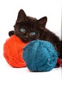 Black kitten playing with a red ball of yarn on white background Royalty Free Stock Photo