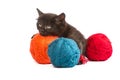 Black kitten playing with a red ball of yarn on white background Royalty Free Stock Photo