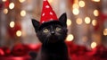 Black kitten in a red wizard\'s cap. Kitten celebrates New Year