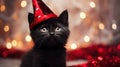 Black kitten in a red wizard\'s cap. Kitten celebrates New Year
