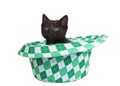 Black kitten sitting in a Saint Patrick`s Day hat
