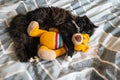 Black kitten sleeping on bed with orange crochet teddy bear Royalty Free Stock Photo