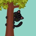 Black kitten on a tree