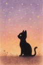 Black kitten viewing with a sunset Royalty Free Stock Photo