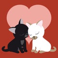 Black kitten and white kitten