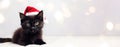 Black kitty as Santa in red hat on light neutral background with bokeh lights. Banner. Copy space. Royalty Free Stock Photo