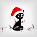 Black kitty with christmas electric lights