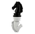 Black knight chess and white knight chess turns upside down