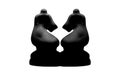 Black knights chess symmetry