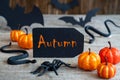 Black Label, Text Autumn, Scary Halloween Decoration