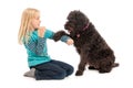 Black labradoodle begging young blonde girl for a treat on a white studio background