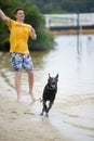 Black Labrador Dog Playing in the Water