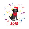 Black Labrador. Happy New Year Royalty Free Stock Photo