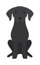 Black Labrador retriever dog domestic animal vector illustration. Royalty Free Stock Photo