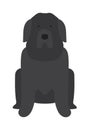 Black Labrador retriever dog domestic animal vector illustration. Royalty Free Stock Photo