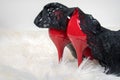 Black lace panties red shoes Royalty Free Stock Photo