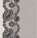 Black Lace ribbon seamless pattern.