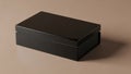 Black lacquer box placed on a warm taupe background Royalty Free Stock Photo