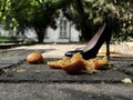 Black lacquered women shoes with heels in the street near the crushed mandarin