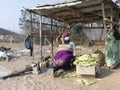 A black lady sells braai mealies at a farm stall Royalty Free Stock Photo