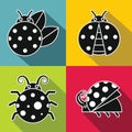 Black ladybug with white stroke on color background Royalty Free Stock Photo
