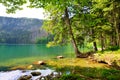 Black lake Cerne jezero in Czech Republic.