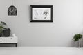 Black lamp above white cabinet with plant in empty grey flat int Royalty Free Stock Photo