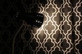 Black lamp shining on black and white patterned curtain Royalty Free Stock Photo