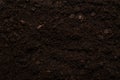 Black land for plant background Royalty Free Stock Photo