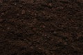 Black land for plant background Royalty Free Stock Photo