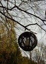 Black lantern-shaped metal lamp suspended on tree with a candle Royalty Free Stock Photo