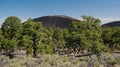 Sunset Crater Volcano National Monument Royalty Free Stock Photo